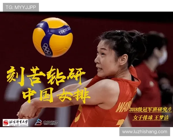 全国锦标赛特别报道：杭州篮球队勇攀高峰的拼搏历程与荣耀时刻