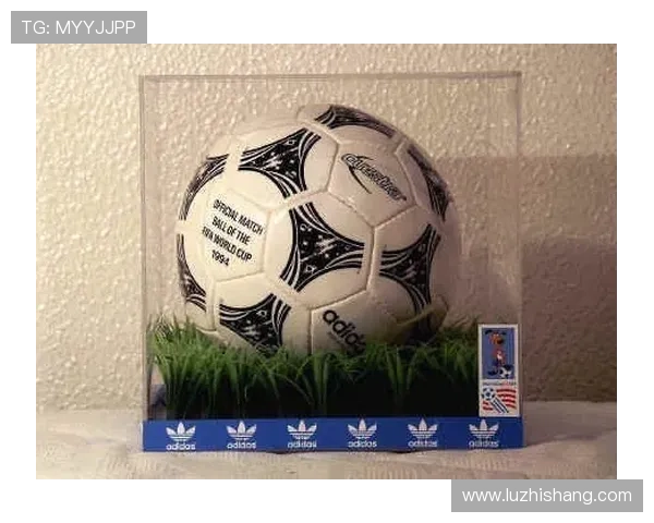 常德足球明星盘点与成就分析探索他们的职业生涯与影响力